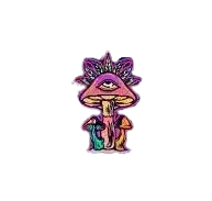 psychedelicspill.com