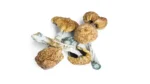 Buy Moby Dick Magic Mushrooms online