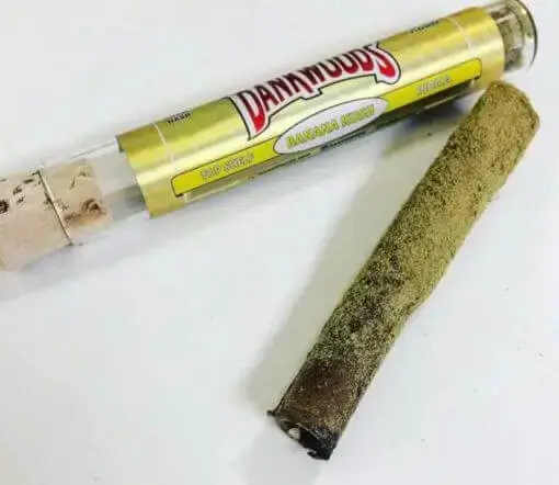 Dankwoods Banana Kush Preroll