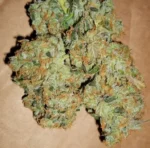 ACDC Strain