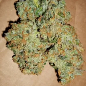 ACDC Strain1