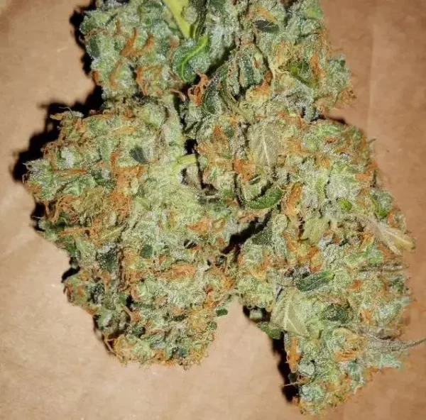 ACDC Strain