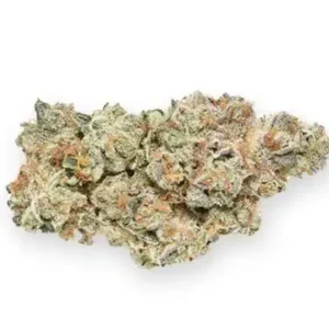 Animal Mints for Sale