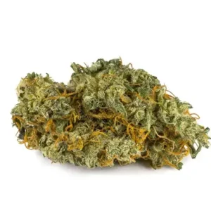 Avidekel CBD Strain1