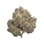 Blue Rhino Strain