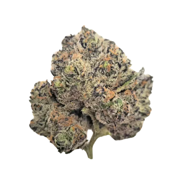 Blue Rhino Strain
