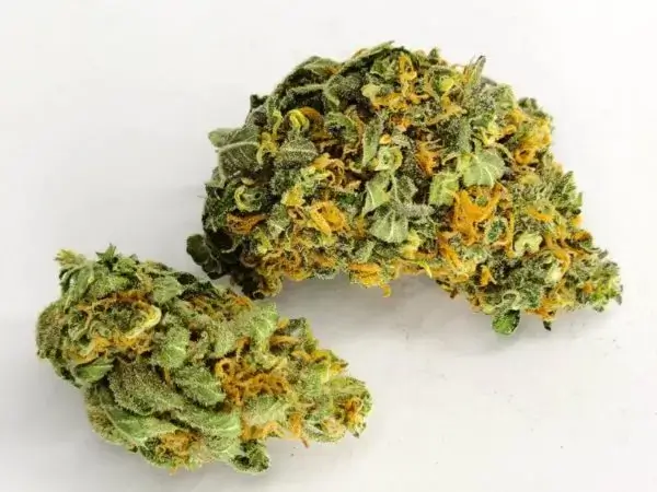 Bruce Banner Strain