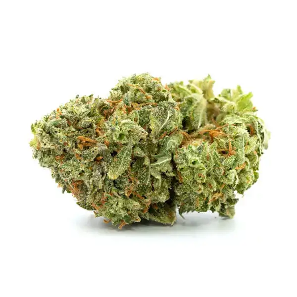 Buy G13 Haze strain online