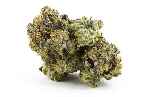 Gas Strain