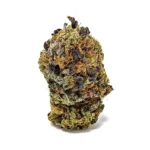 Gas Strain