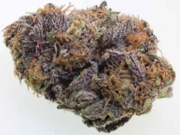 Grandaddy Purple Kush