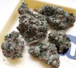 Holy Grail OG Strain