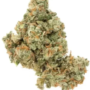 Jack Herer Strain