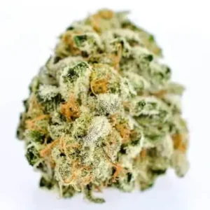 London Pound Cake Strain