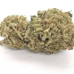 OG Kush Strain