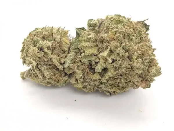 OG Kush Strain