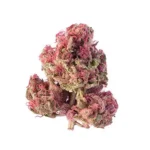 Pink Kush