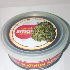Platinum Punch Smart Buds