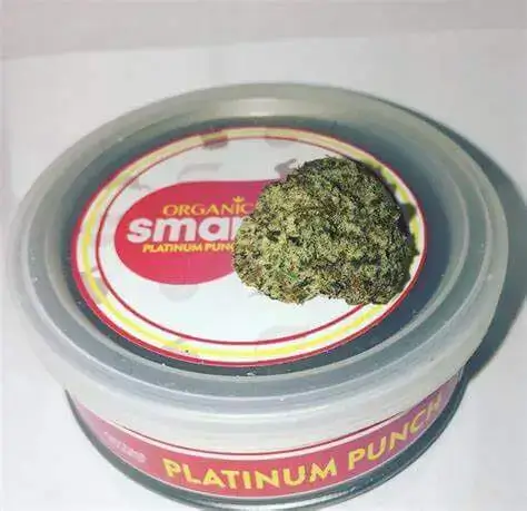 Platinum Punch Smart Buds