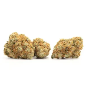 Contact Psychedelics pill