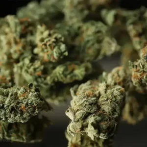 Strawberry Banana Kush1