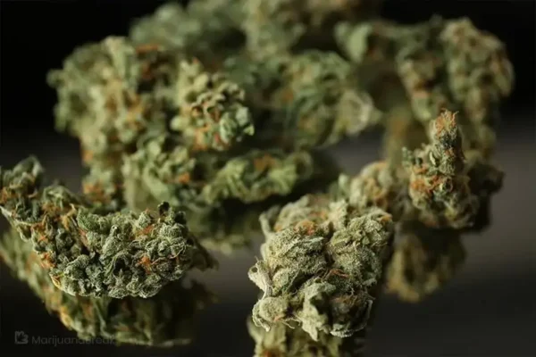 Strawberry Banana Kush