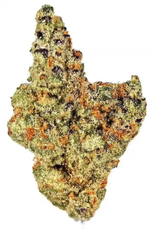 Sundae Driver Strain